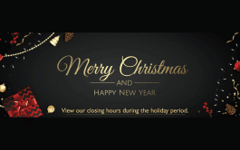 Merry Xmas 2021