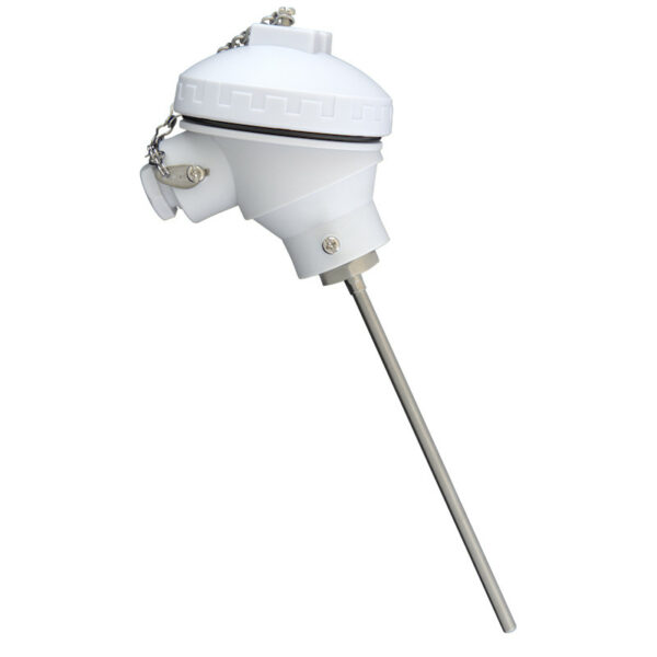RTD Probe with Polypropylene Protection Head